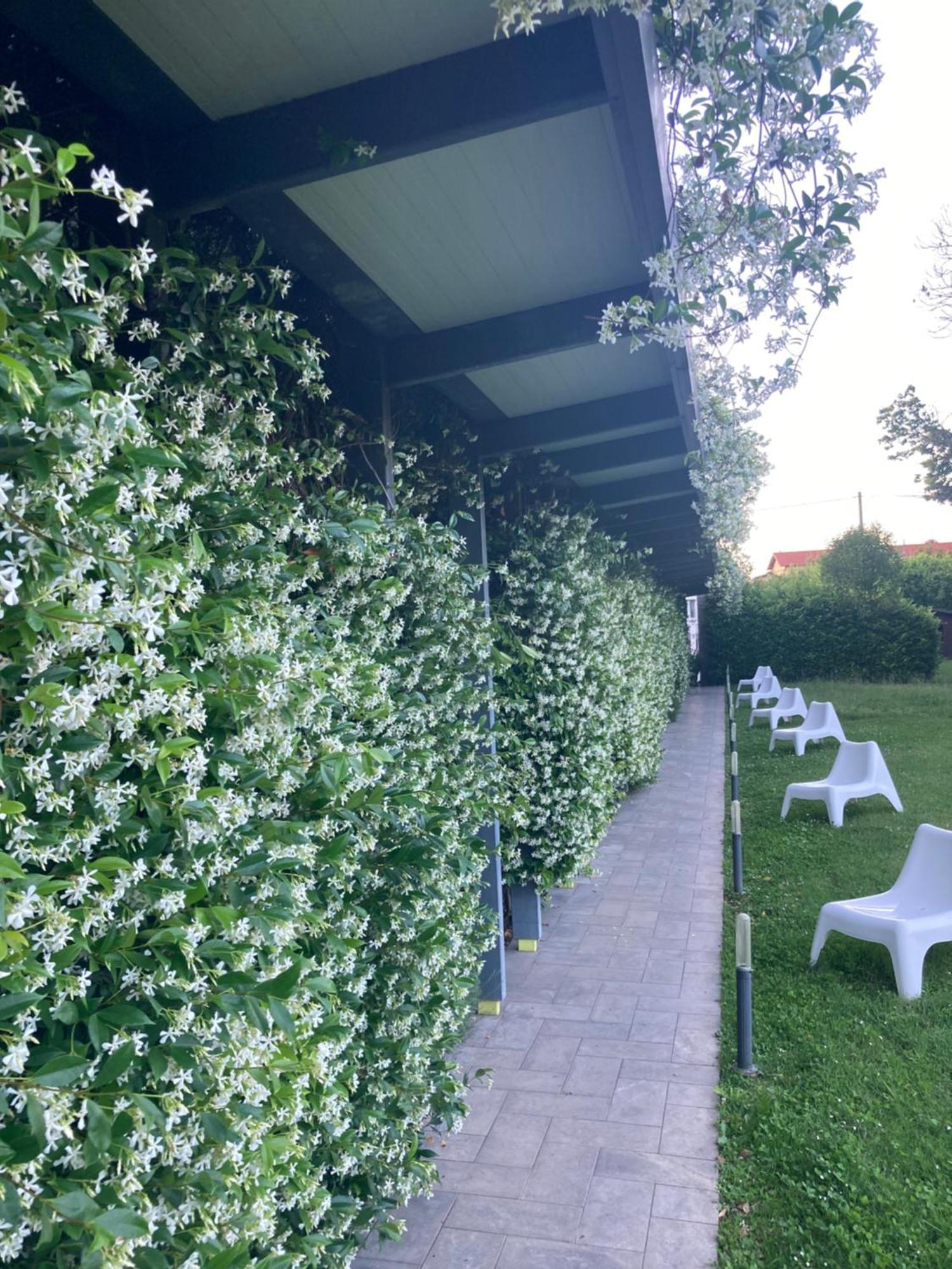 Mxp Rooms Guest House Cardano Al Campo Exteriör bild
