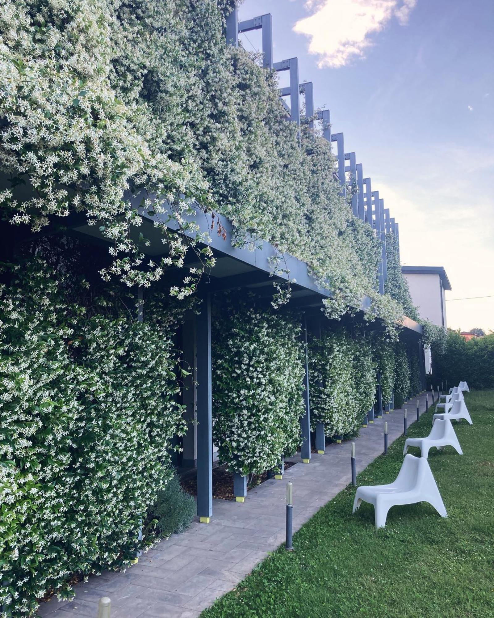 Mxp Rooms Guest House Cardano Al Campo Exteriör bild